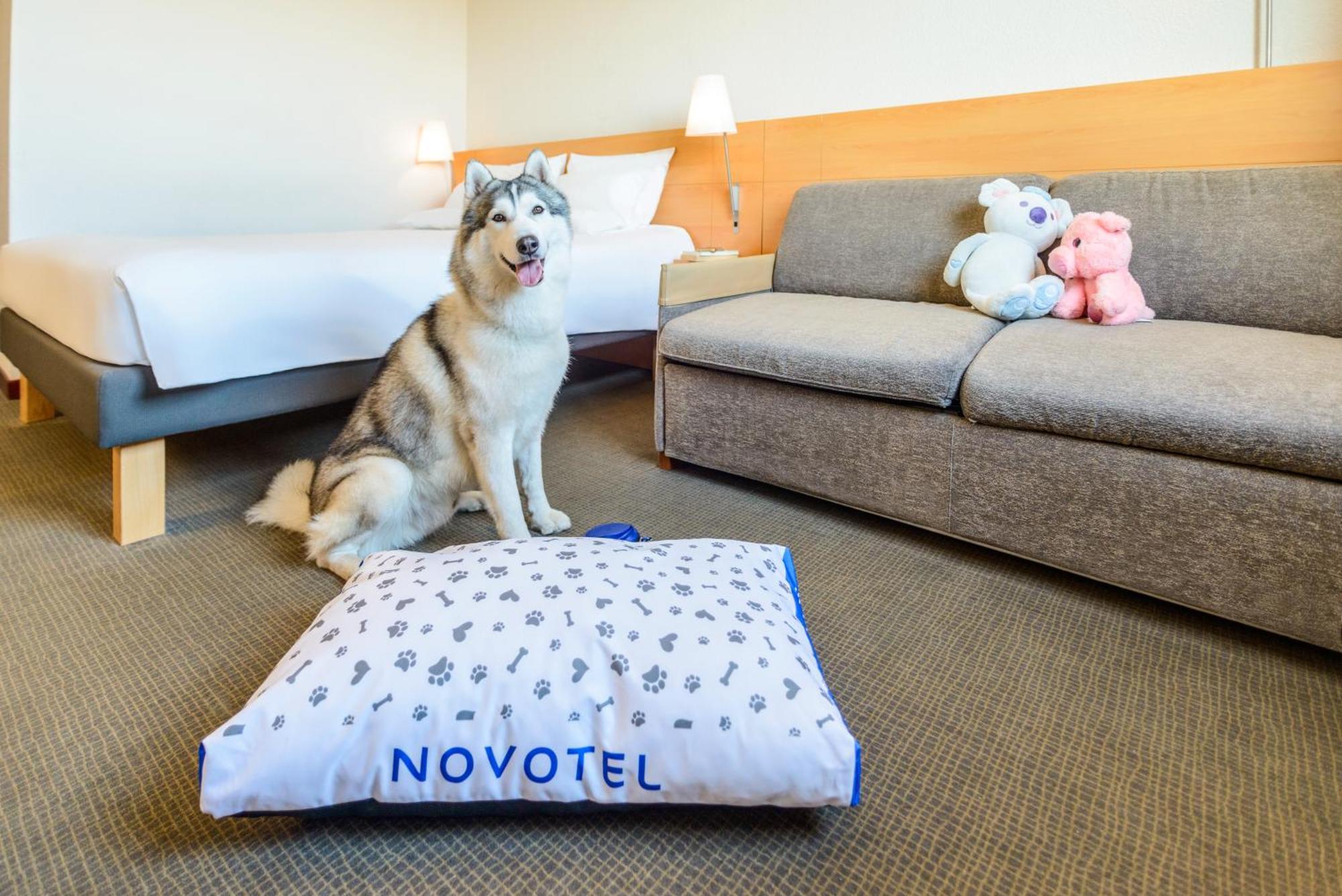 Novotel Torino Corso Giulio Cesare Zewnętrze zdjęcie