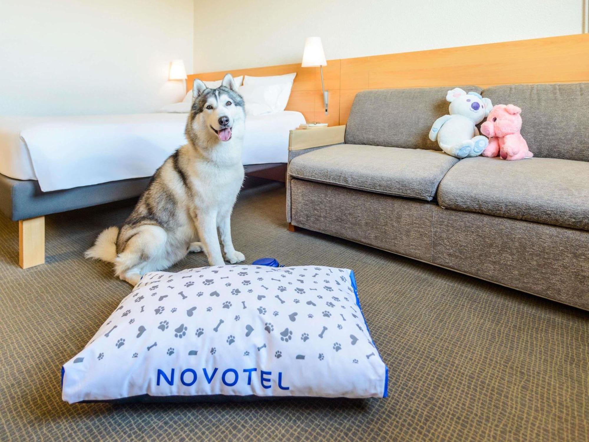Novotel Torino Corso Giulio Cesare Zewnętrze zdjęcie